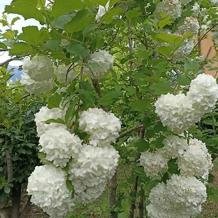 Terra Di Magie Vakantieboerderij Sarnano