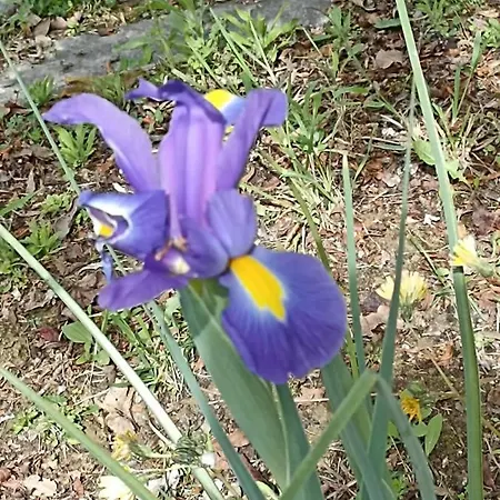 Terra Di Magie Bauernhof *