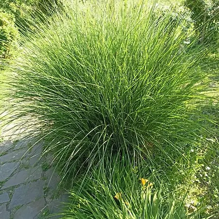 Terra Di Magie Vakantieboerderij Sarnano