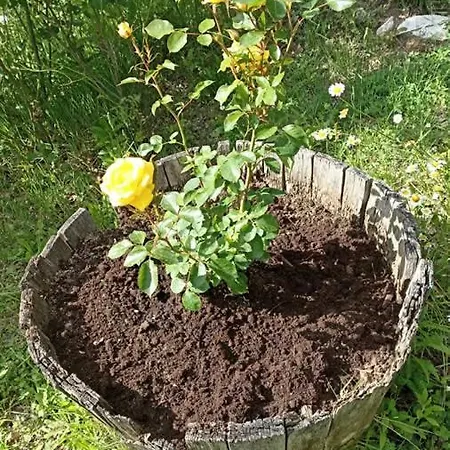 Terra Di Magie Sarnano
