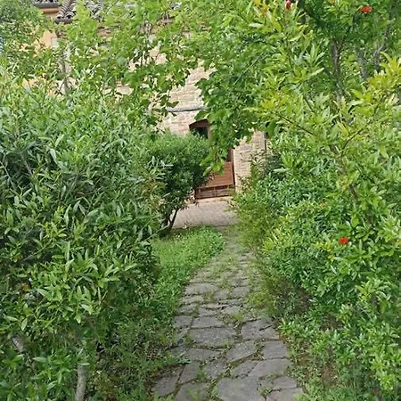 Terra Di Magie