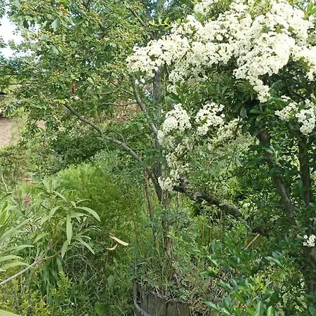 Bauernhof Terra Di Magie Sarnano