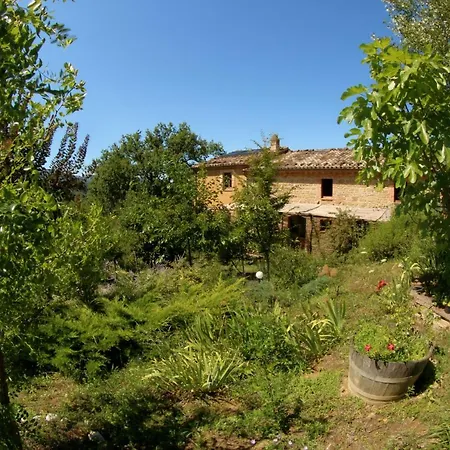Terra Di Magie *