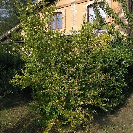 Terra Di Magie Vakantieboerderij *