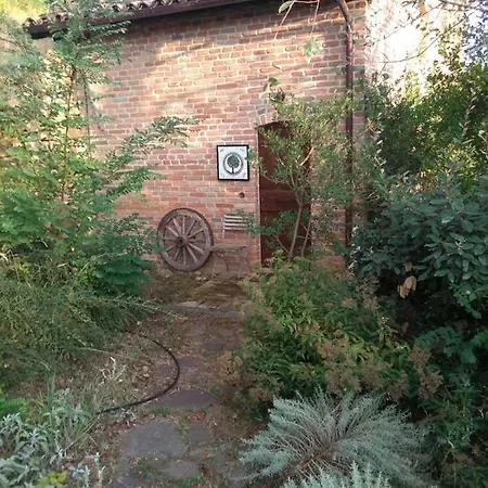 Terra Di Magie