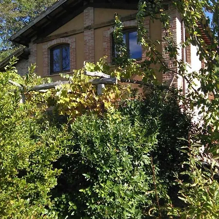 Terra Di Magie *